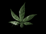 dancingleaf.gif